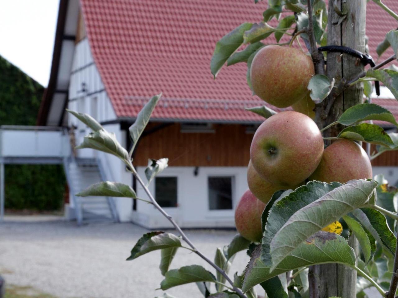 Ferienhof Waggershauser FDH Exterior foto